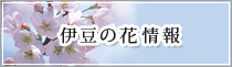 ɓ̉ԏ